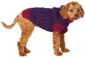 Pet Apparel and Accessories